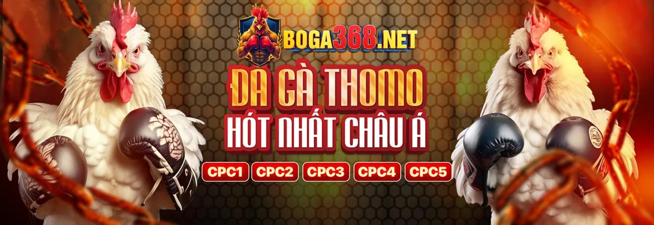 Hình ảnh hợp tác kinh doanh cùng đá gà 88.com c3