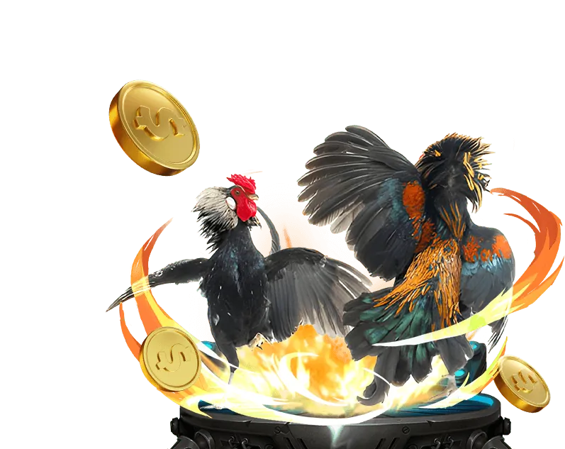 Ưu điểm vượt trội về tỷ lệ cược và trận đấu của đá gà 88.com c3