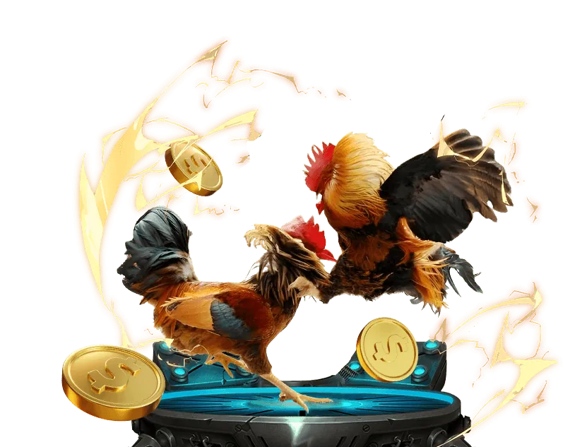 Tổng quan về đá gà 88.com c3